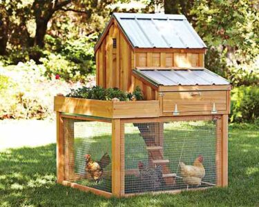 How to Change Chicken Ordinances Image